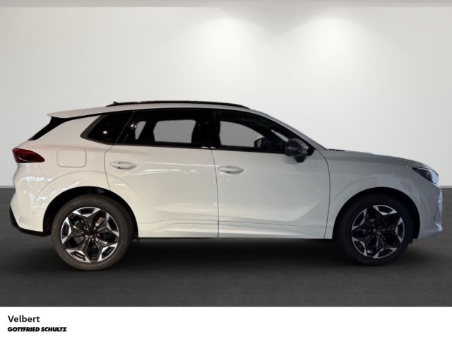 Cupra Terramar - Bild 3