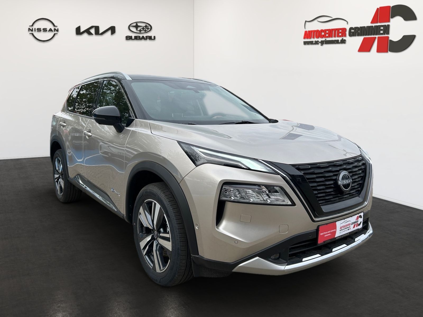 Fahrzeugabbildung Nissan X-TRAIL 1.5 VC-T e-4ORCE Allrad Tekna