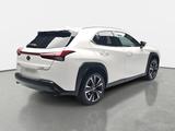 Lexus UX 200H LED ACC LM18 - Lexus Gebrauchtwagen von 2020