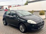 Fiat Punto 1,4 5-Türig TÜV neu - Fiat Punto aus 2009: 1.4