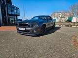 Ford Mustang Shelby GT 500 5.8 - Ford Mustang aus 2012: Shelby
