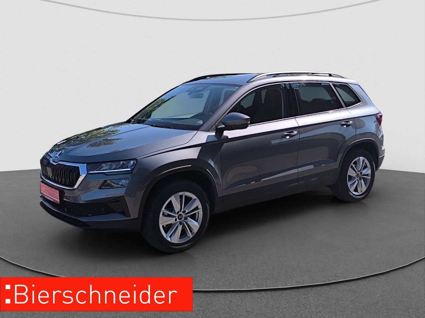 Skoda Karoq 2.0 TDI 4x4 DSG Selection AHK RFK ACC PDC
