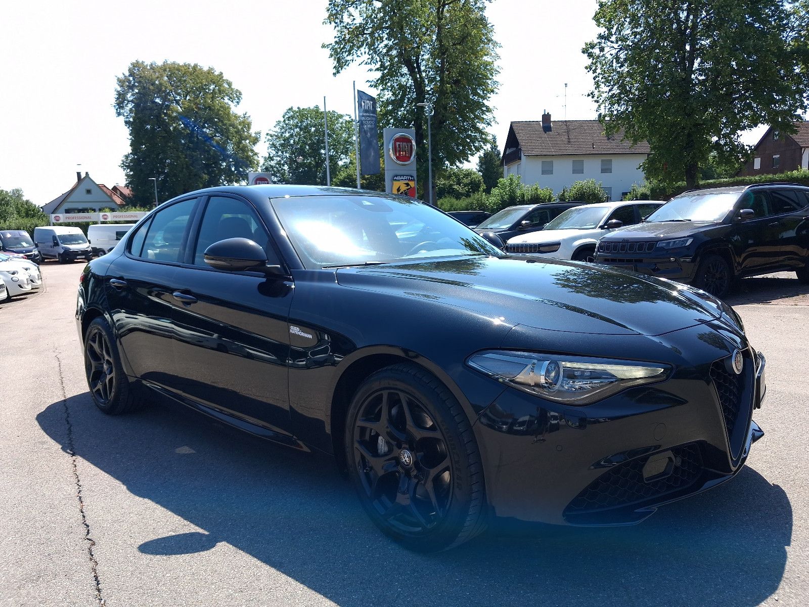 Fahrzeugabbildung Alfa Romeo Giulia B-Tech