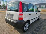 Fiat Panda 1,2L sehr gepflegt 26euro Steuern - Fiat Panda Gebrauchtwagen in Bochum