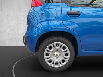 Fiat Panda MY25-Pandina ICON Hybrid 1.0 GSE Tempomat