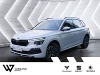 Skoda Kamiq - Vorschau Bild 1