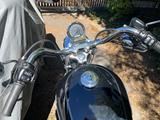 Harley-Davidson Sportster XL 1200 L - HARLEY-DAVIDSON 2008 SPORTSTER 1200