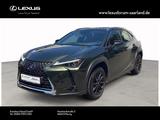 Lexus UX 250h 2,0 Hybrid Luxury Line/360Grad/Sitzbelüf - Lexus UX aus 2020