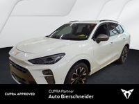 Cupra Terramar - Vorschau Bild 1