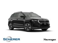 Skoda Karoq - Vorschau Bild 1
