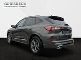 Ford Kuga ST-Line AWD*ACC*AHK*SHZ*WiPa*RFK*LM* - Ford Kuga AWD Gebrauchtwagen