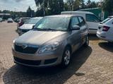 Skoda Fabia Family, Allwetterreifen, Klima - Skoda Fabia: Standheizung