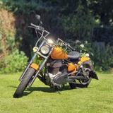 Suzuki LS 650 Savage (Bobber umbau)