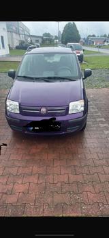 Fiat Panda - Fiat Panda: Violett, Zentralverriegelung