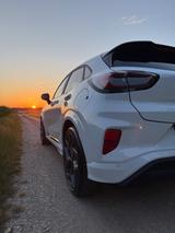 Ford Puma 1,5 l EcoBoost ST ST Performance  - Ford Puma von privat