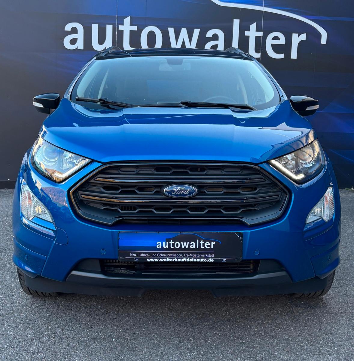 Ford EcoSport ST-Line,Kamera