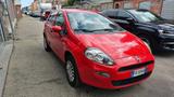 Fiat Punto 1.4 8V 5 porte Natural Power Street - Fiat Punto: Natural Power