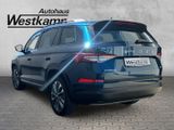 Skoda Kodiaq Tour 2.0 TDI DSG 4X4 Panodach Kamera - Skoda Kodiaq aus 2023