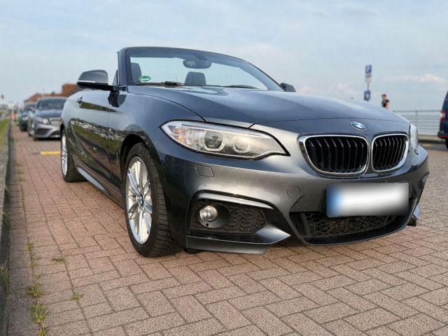 BMW BMW 220D Cabrio M Sportpaket Automatik Vol...