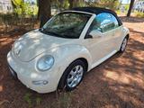 Volkswagen New Beetle 1.6 Cabrio - Volkswagen New Beetle: Beige