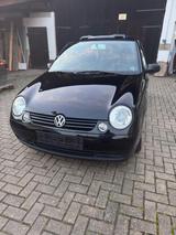 Volkswagen Lupo 1.4 - Volkswagen Lupo: Schiebedach