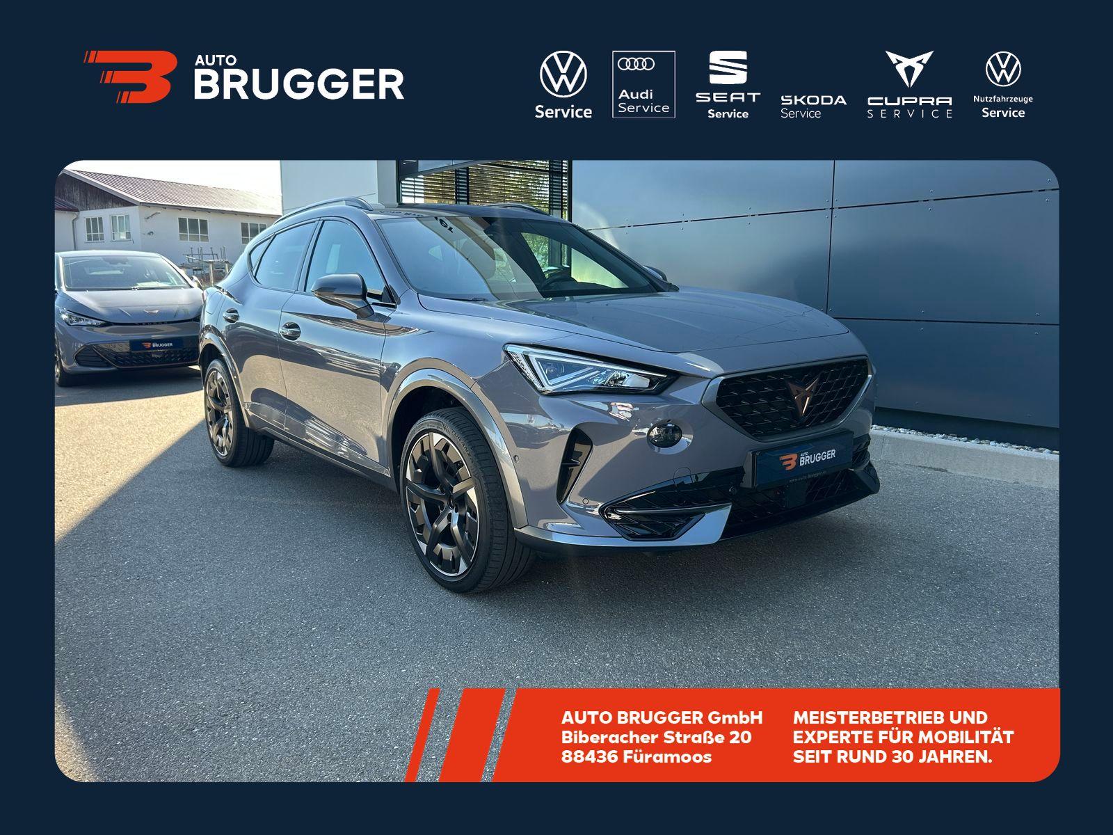 Cupra Formentor 2.0 TSI DSG 4Drive LED Kamera Pano ...