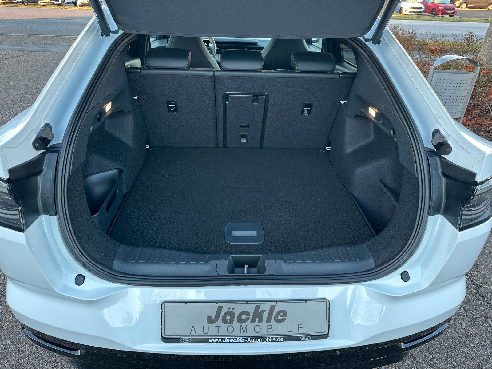 Fahrzeugabbildung Ford Capri AWD Premium, PANORAMADACH, AHK SCHWENKBAR