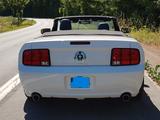 Ford Mustang Cabrio V6 Premium - Ford Mustang mit LPG-Antrieb