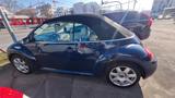 Volkswagen New Beetle Cabriolet 1.6 - Volkswagen New Beetle mit Benzin-Antrieb: Leder