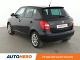 Skoda Fabia 1.2 TSI Best of*TEMPO*PDC*SHZ*ALU*KLIMA* - Skoda Fabia Gebrauchtwagen in Nürnberg