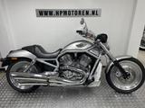 Harley-Davidson VRSCA V ROD V-ROD 100 TH. ANNIVERSARY 1903 / 200 - HARLEY-DAVIDSON 2003 V ROD