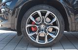 Skoda Kodiaq RS 4x4 / 7 Sitze/Pano/AHK - Skoda Kodiaq: RS