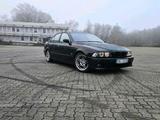 BMW Bmw 530D E39 M Paket, Vollausstattung. - BMW 530: 530d E39