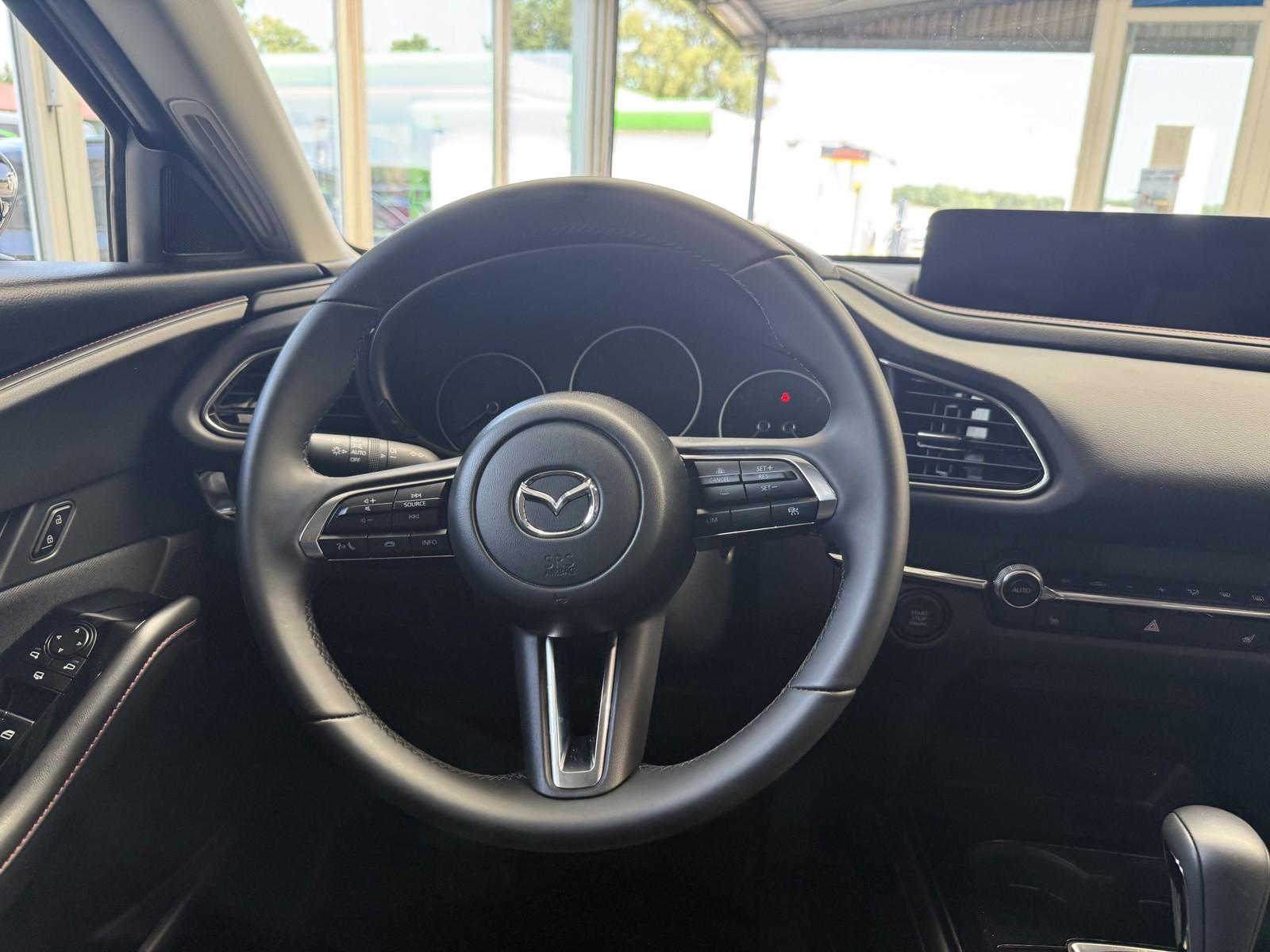 Mazda CX-30 Homura 2WD Autom., *LED *Navi *Kamera *ACC, миниатюра 17