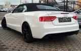 Audi A5 CABRIOLET*S-LINE*AUTOMA-TEMPO-NAVI-SHZ-NR-AHK - Audi A5: Weiß