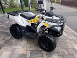 Access Motor Shade 200 - QUAD VON 126 BIS 250 CCM