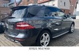Mercedes-Benz ML 500 ML -Klasse ML 500 BlueEfficiency - Mercedes-Benz ML 500