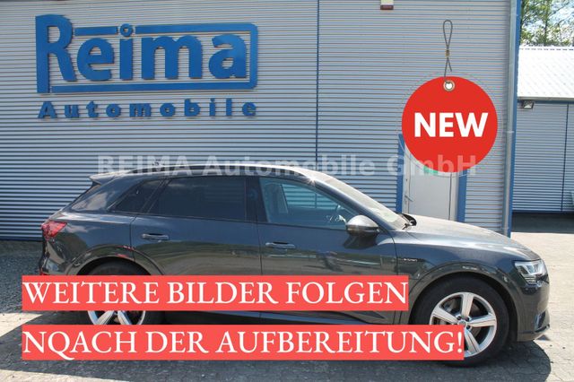 Audi e-tron 55 quattro advanced, Navi, DAB, Kamera