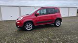 Fiat New Panda 0.9 TwinAir LOUNGE NATURAL POWER - rote Fiat New Panda