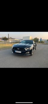 Ford Mustang Caprio  3,7 v6 - Caprio gebraucht