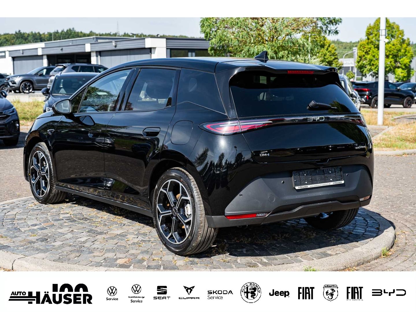 BYD DOLPHIN