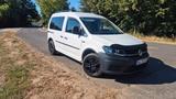Volkswagen Caddy 2,0TDI 110kW BMT Trendline 5-Sitzer Tr...