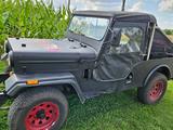 Andere Mahindra, schwarz, Top Zustand - Andere aus 1992