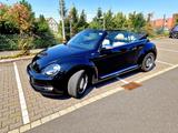 Volkswagen Beetle 1.2 TSI BMT Exclusive Design Cabriole... - Volkswagen Beetle: Exclusive Design