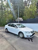 Skoda Octavia 1.6 TDI Green tec Active Active - Skoda Octavia Active mit Diesel-Antrieb