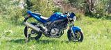 Suzuki SV 650  - Angebote