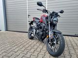 Honda CB 125 R *1. Hand*6 J. Garantie möglich* - Angebote