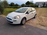 Fiat Punto 1.2 8V 5 porte Easy - Fiat Punto EASY mit Benzin-Antrieb
