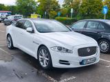 Jaguar XJ Premium Luxury 3.0 V6 Diesel S Langvers. ... - Jaguar XJ mit Diesel-Antrieb: 6.3
