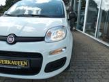 Fiat Panda Easy*Klima*Radio-DAB+*Bluetooth*GJ-Räder* - gebrauchte Fiat Panda aus dem Jahr 2019